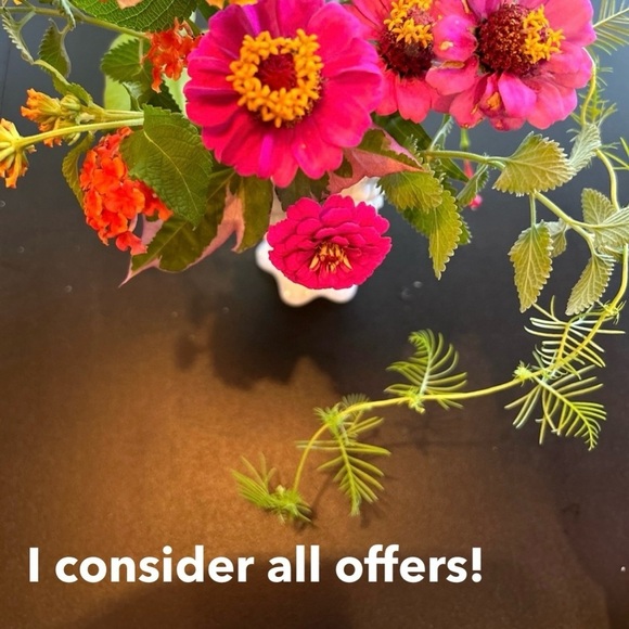 Kids size large Bring Me All the Kitties graphic tee. Black short sleeved. - Picture 8 of 8